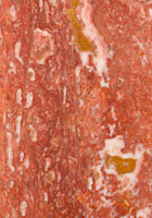 De Luxe | Stone composite | Skleněn&aacute; deska | TRAVERTIN RED SD – travertin red + glass plate