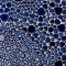 mosaic | ceramic mosaic | River | H TP 80 – blue